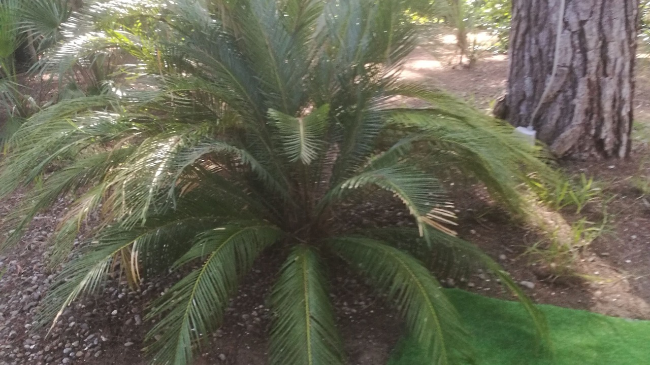 Photo of Outdoor in Riva dei Tessali