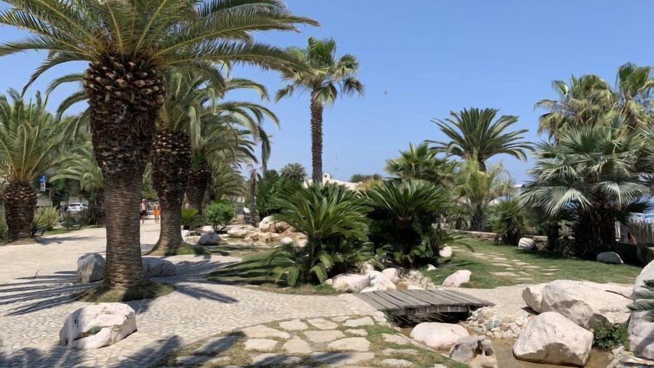 Photo of Others in Porto d'Ascoli