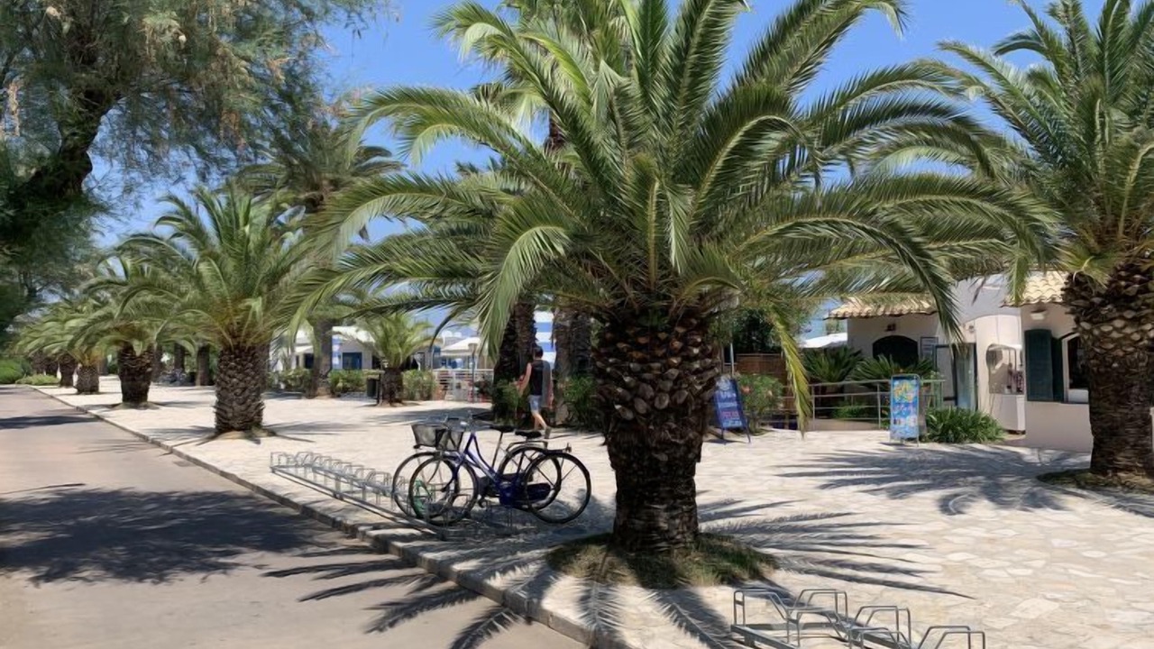 Photo of Others in Porto d'Ascoli