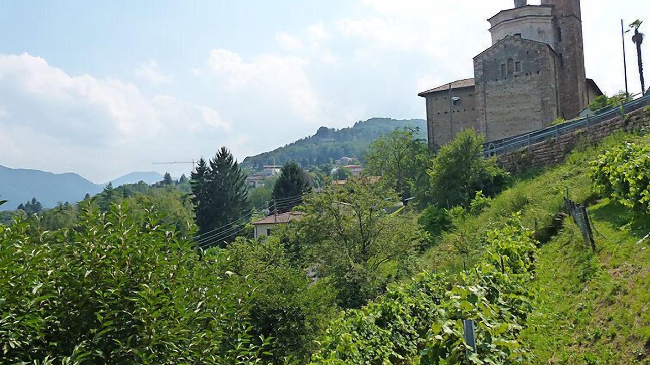 Photo of Outdoor in Carona