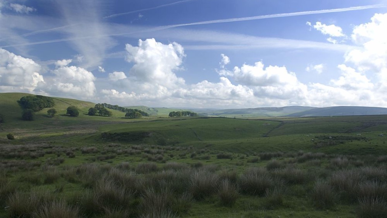 Photo of Others in Newtonmore