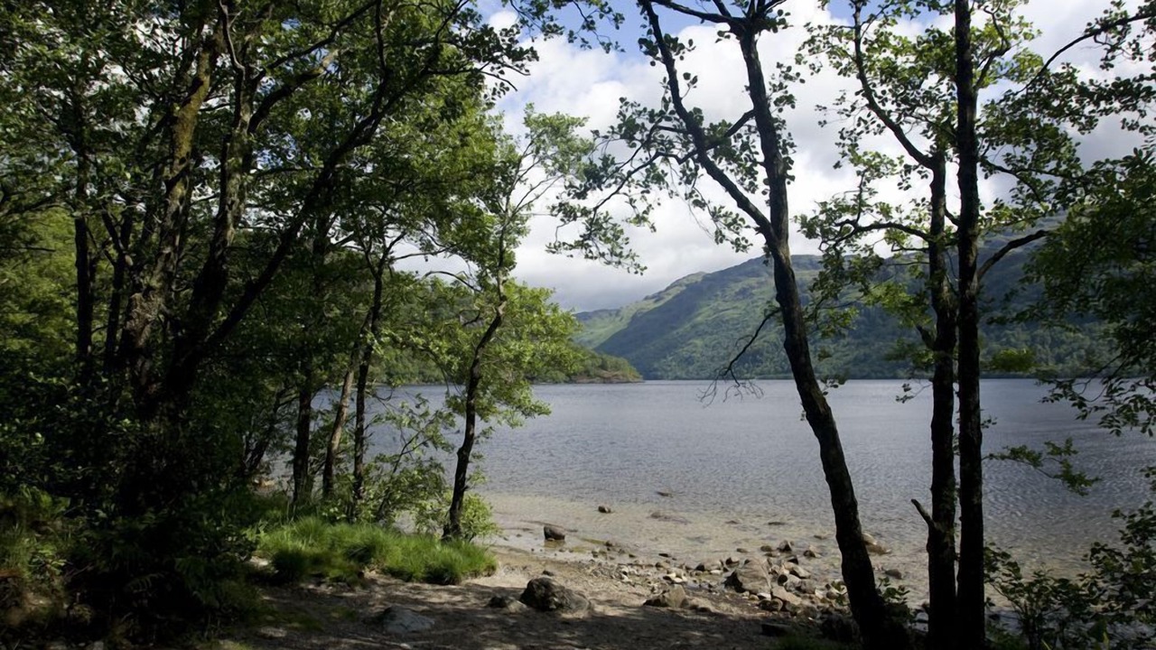 Photo of Others in Newtonmore