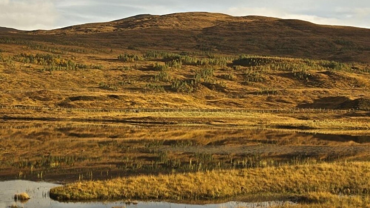 Photo of Others in Newtonmore