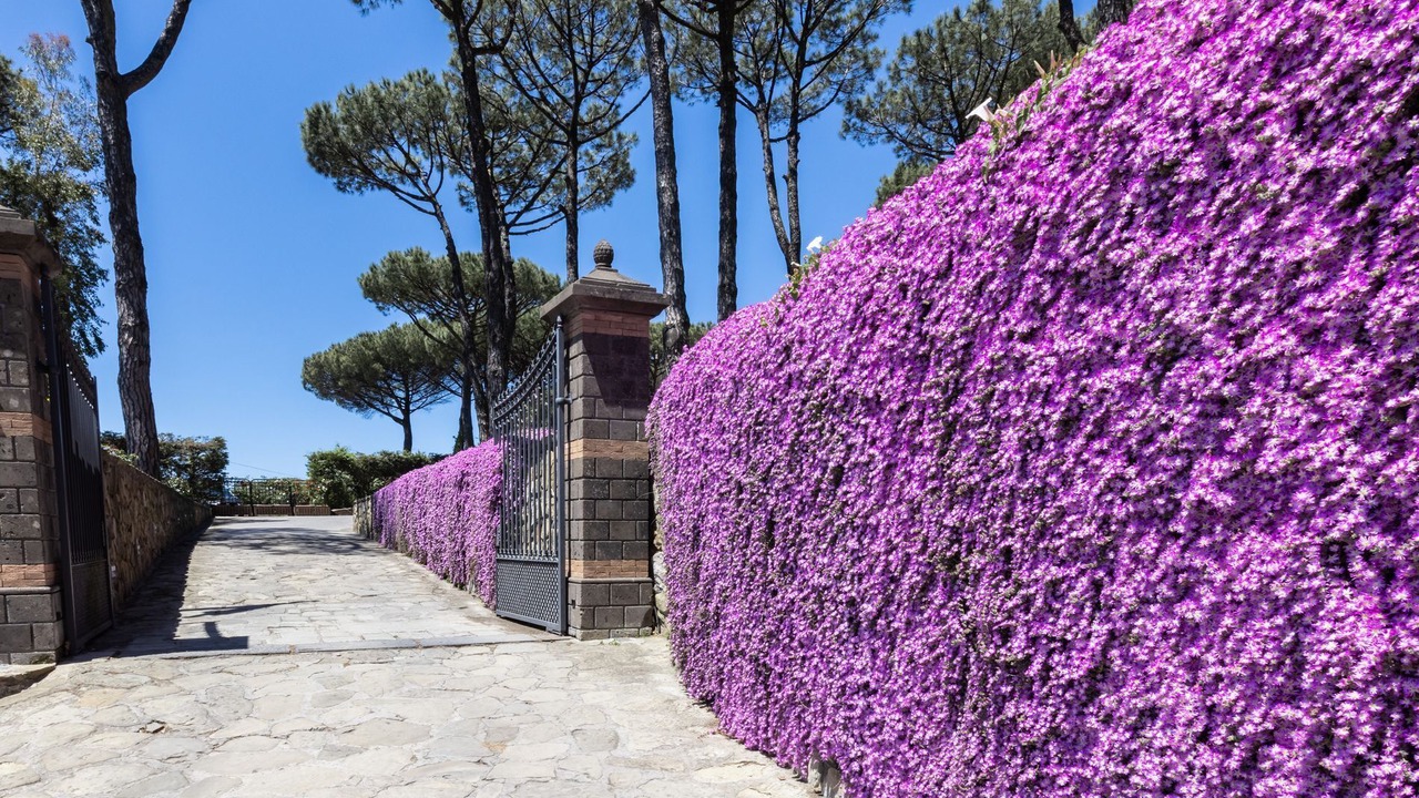 Photo of Outdoor in Sant'Agata sui Due Golfi