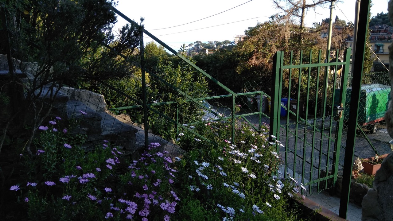 Photo of Outdoor in Rapallo