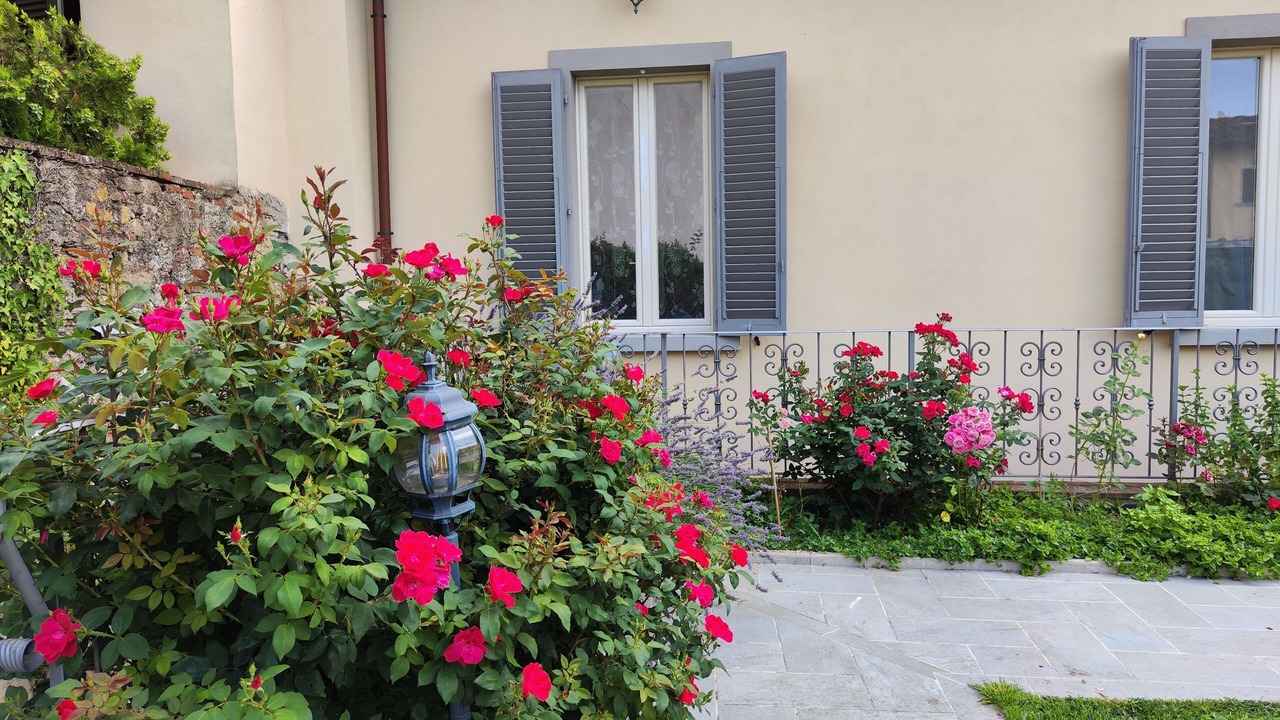 Photo of Outdoor in Arezzo
