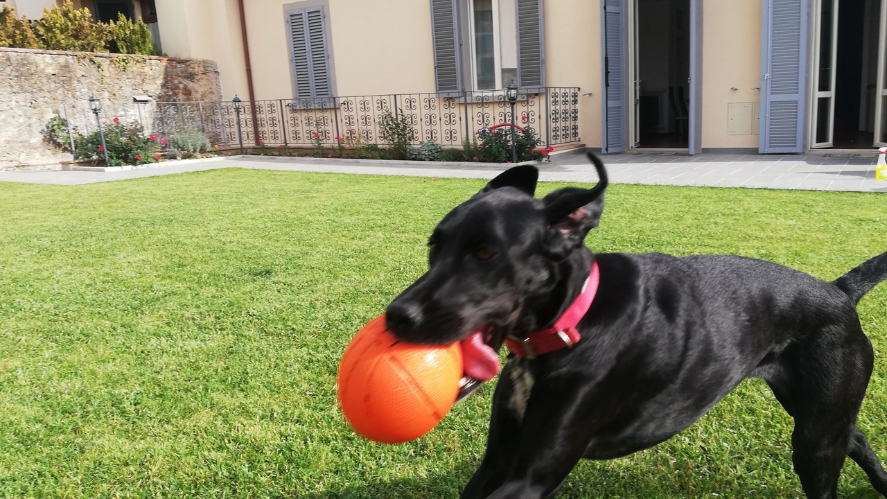 Photo of Outdoor in Arezzo
