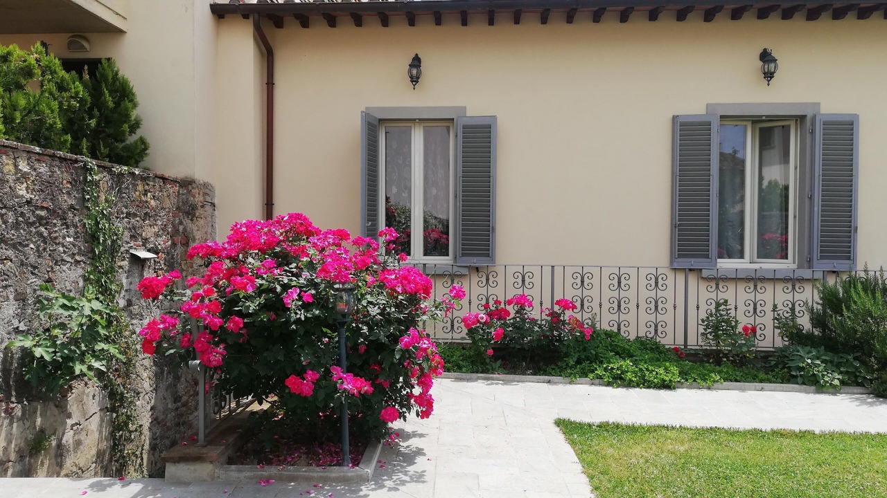 Photo of Outdoor in Arezzo