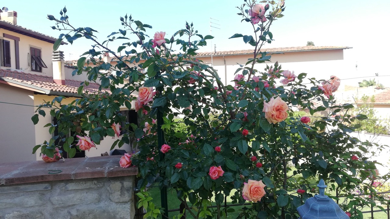 Photo of Outdoor in Arezzo