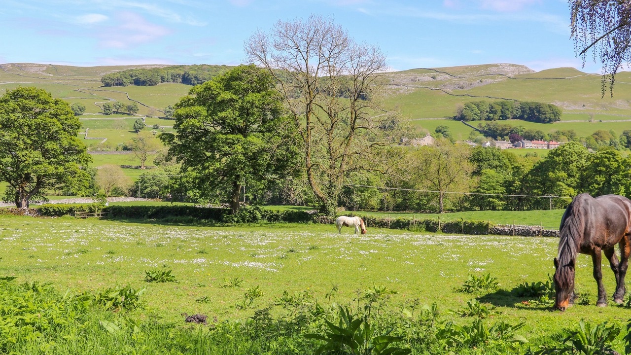 Photo of Others in Settle