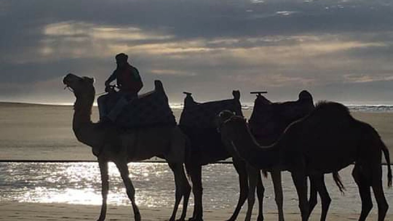 Photo of Others in Sidi R'bat