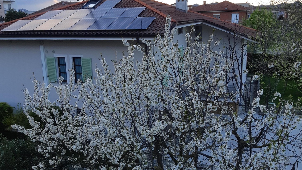 Photo of Outdoor in Alba
