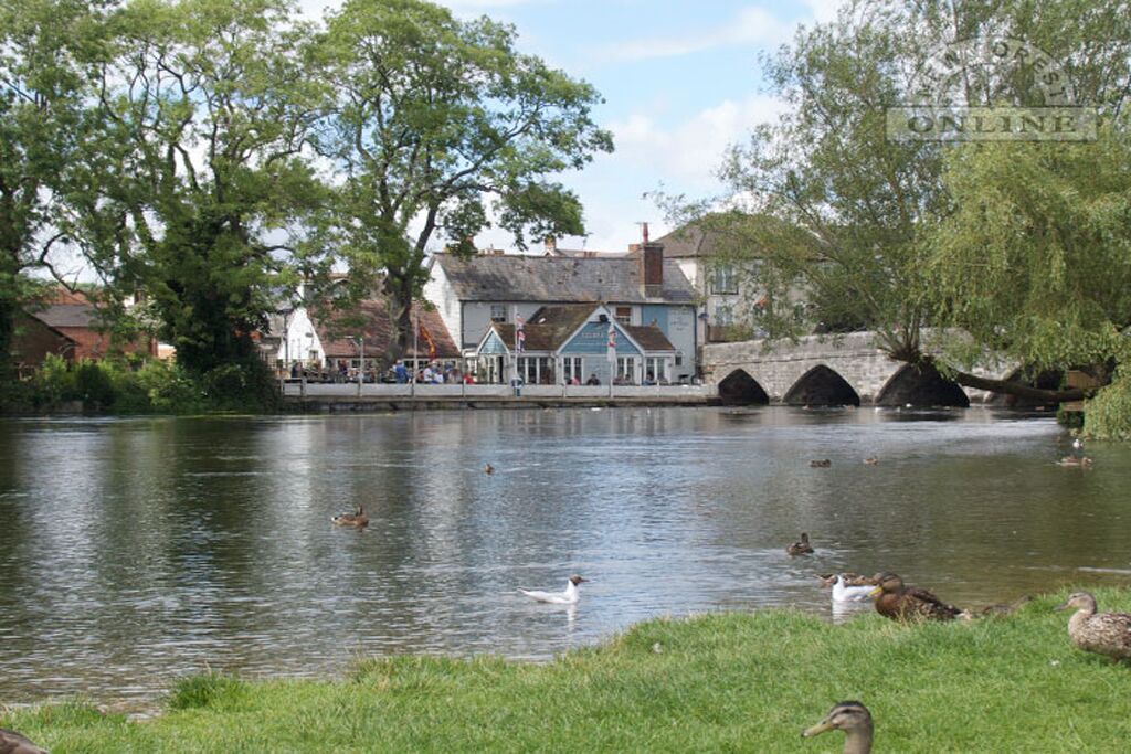Photo of Others in New Forest District