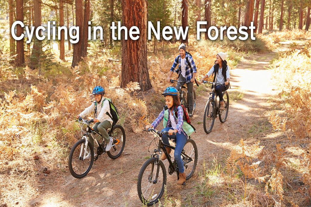 Photo of Others in New Forest District