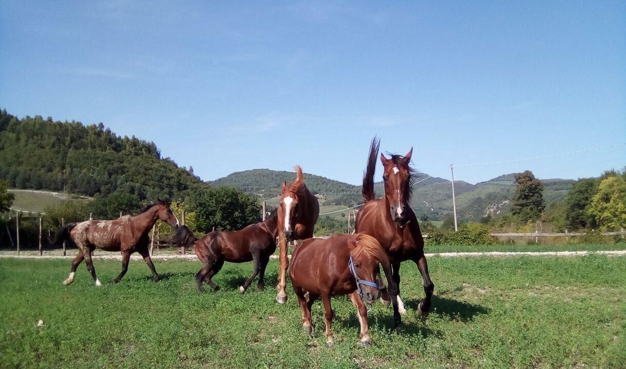 Photo of Others in Urbino