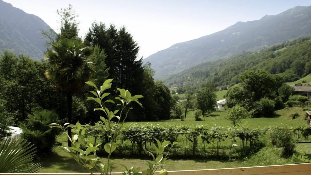 Photo of Others in Negrentino