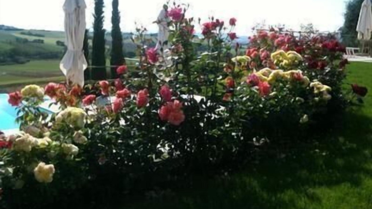 Photo of Outdoor in Monte San Vito