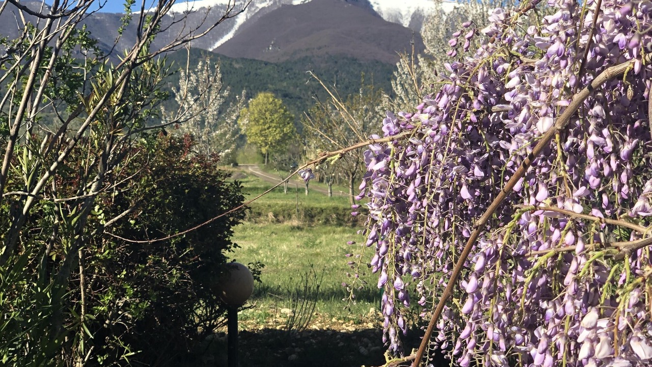 Photo of Others in Guardiagrele
