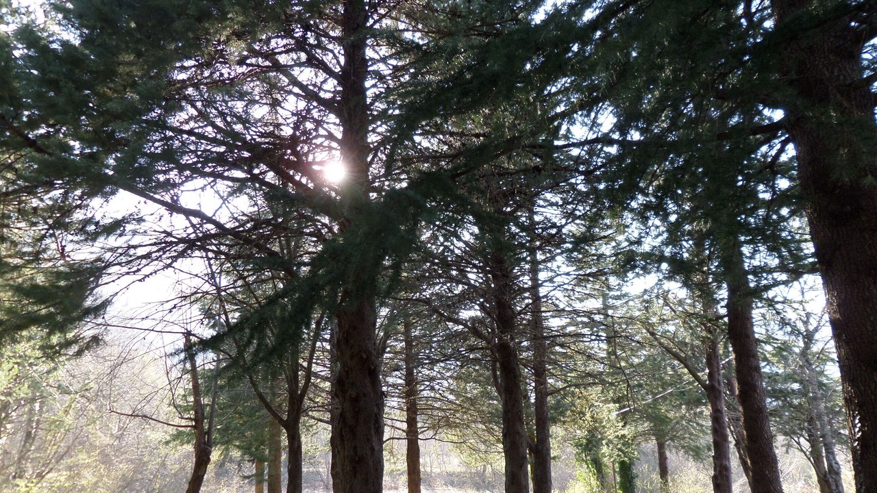 Photo of Outdoor in Castelli