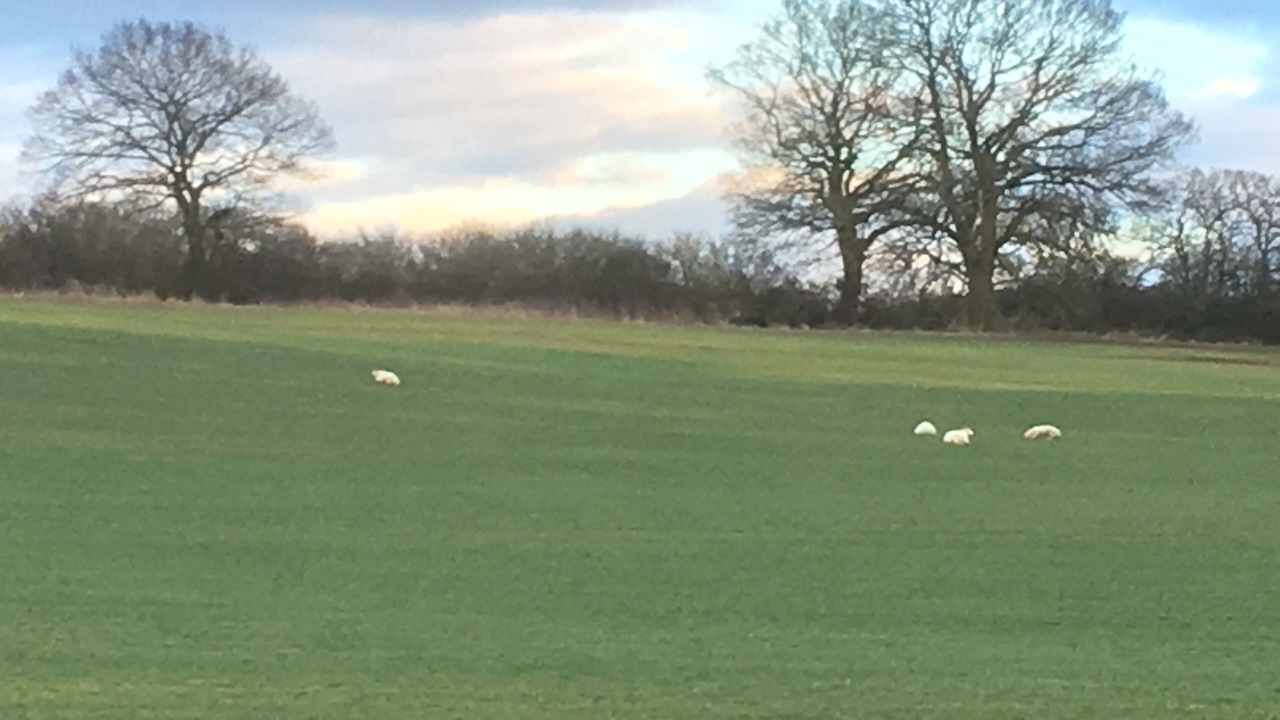 Photo of Others in Alcester
