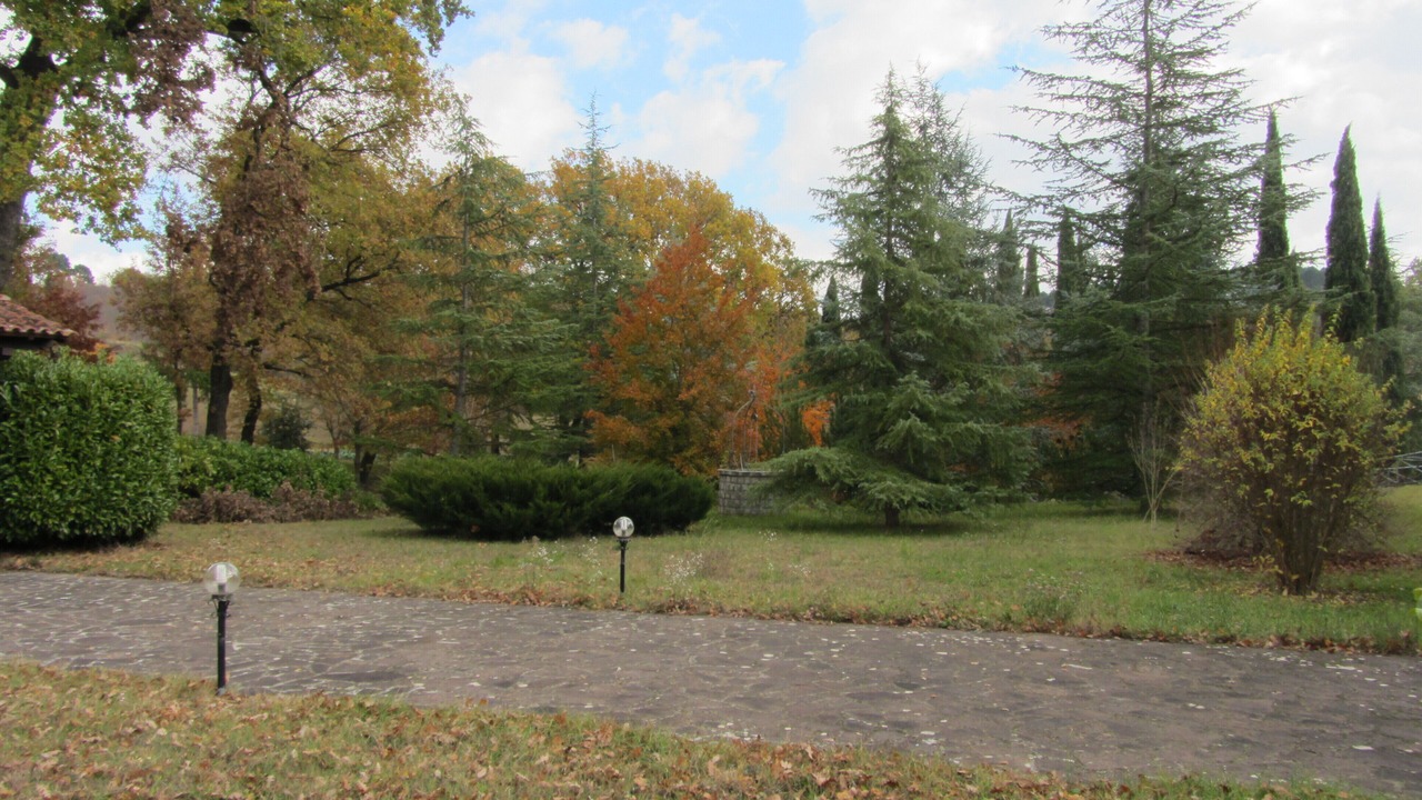 Photo of Outdoor in Poppi