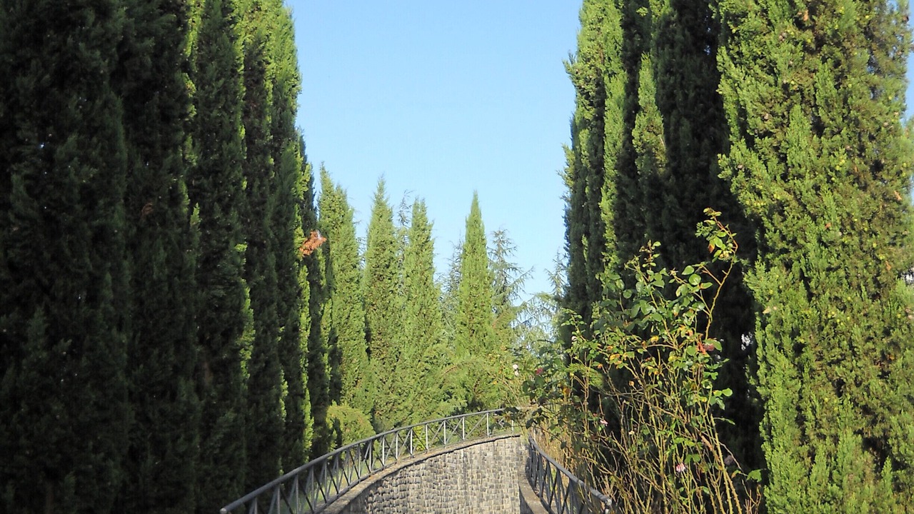 Photo of Outdoor in Poppi