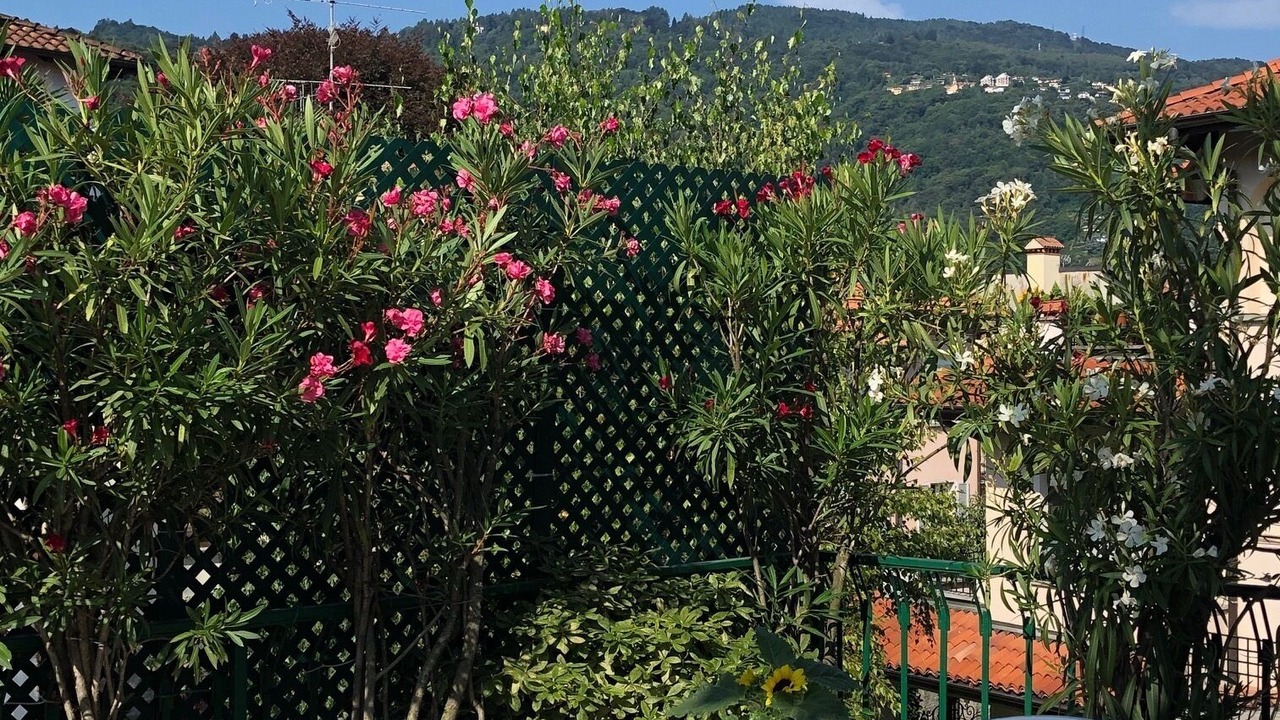 Photo of Outdoor in Stresa