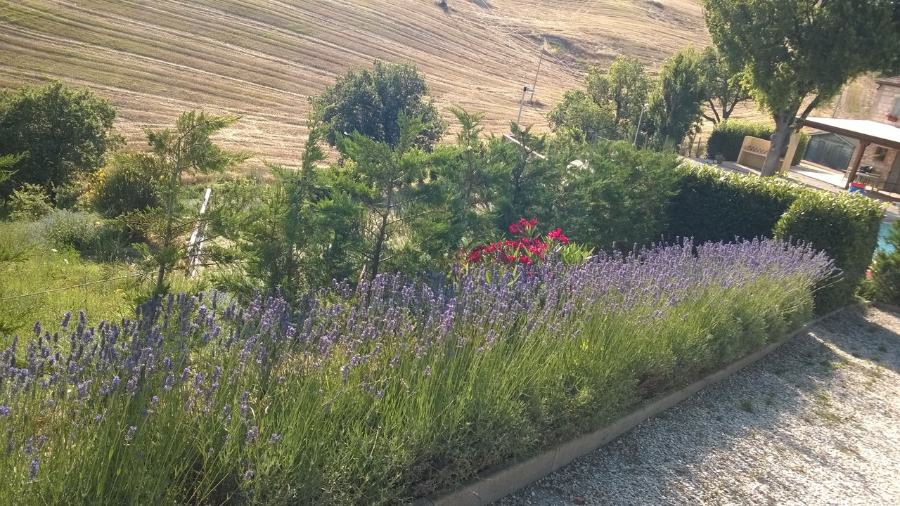 Photo of Outdoor in Fossombrone