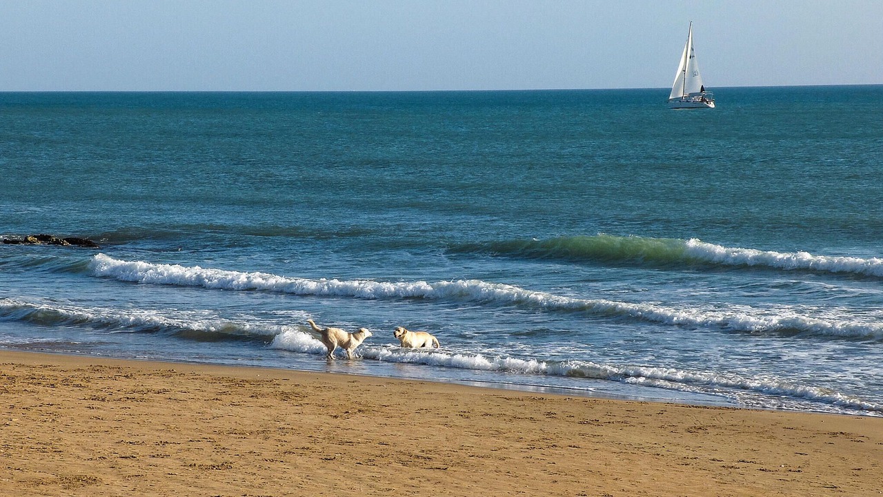 Photo of Others in Chiaramonte Gulfi