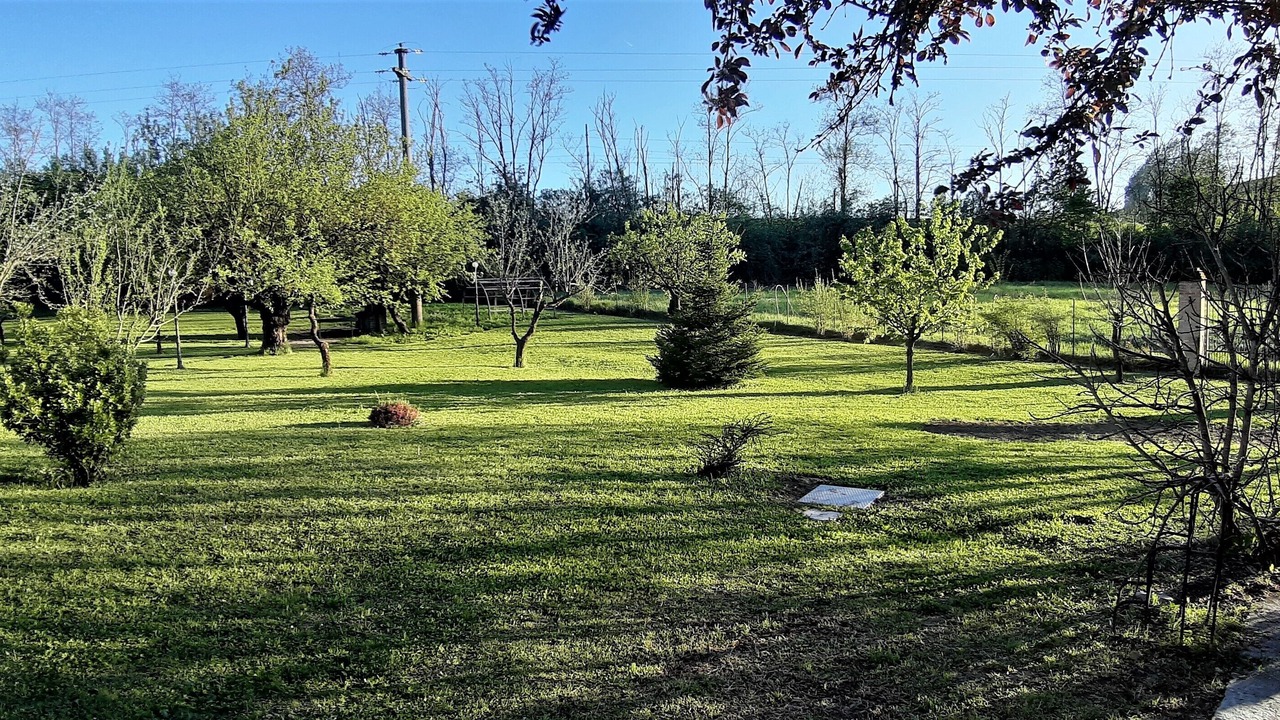 Photo of Outdoor in Mombaruzzo