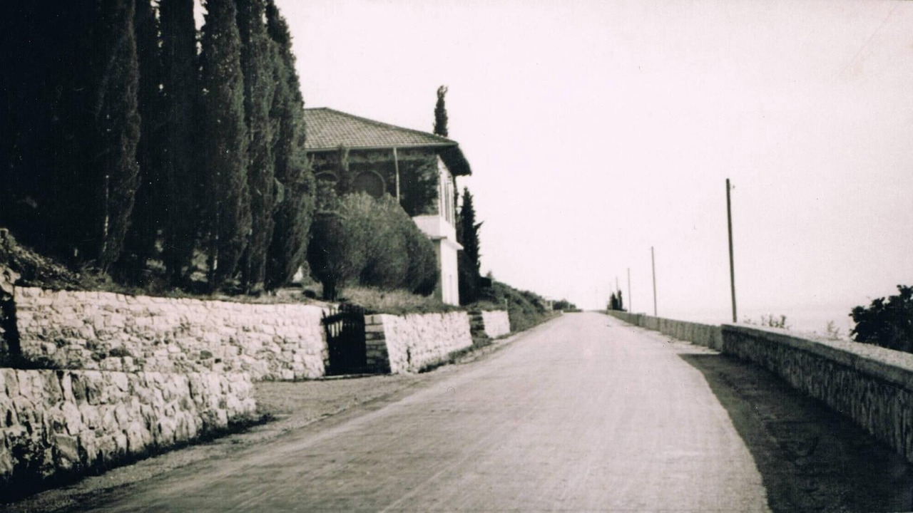 Photo of Others in Torri del Benaco
