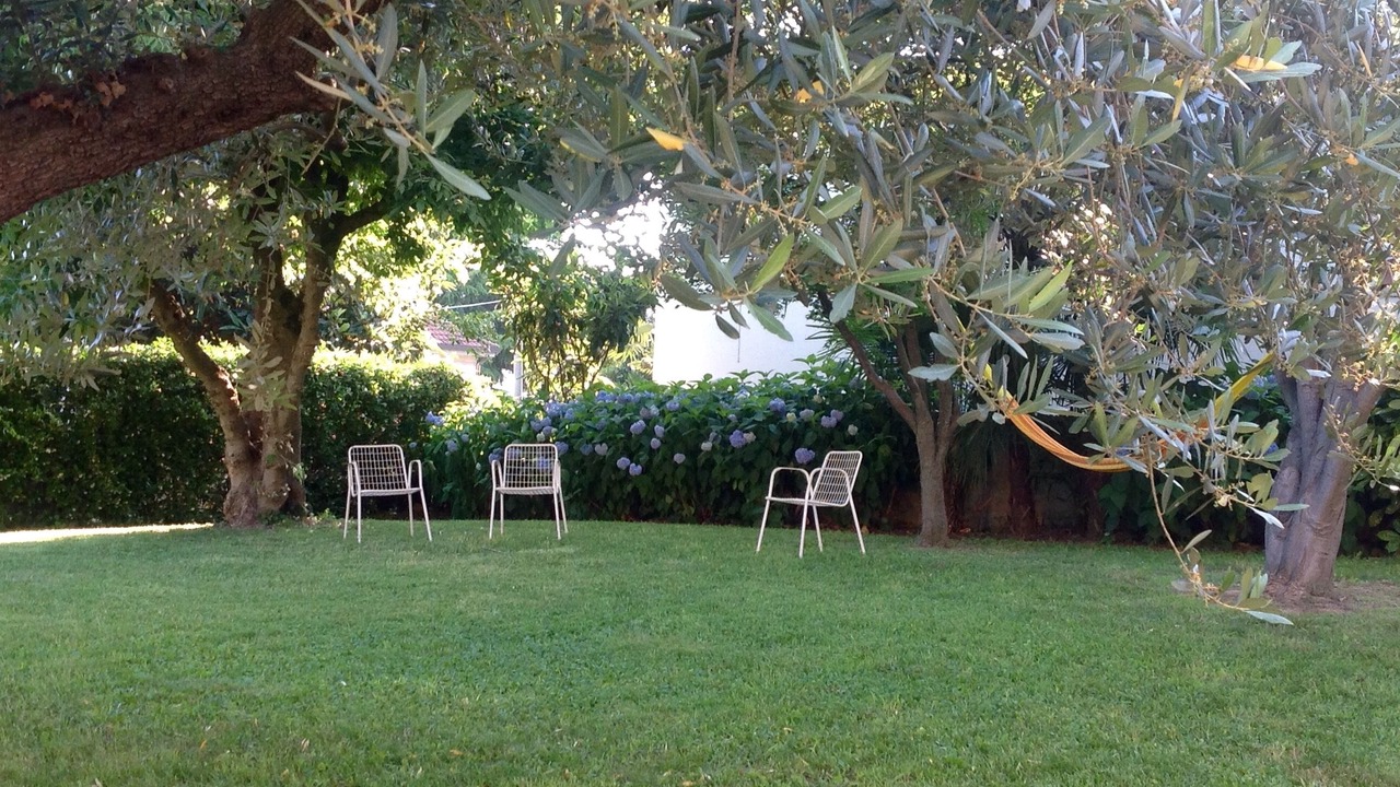 Photo of Outdoor in Anzasco