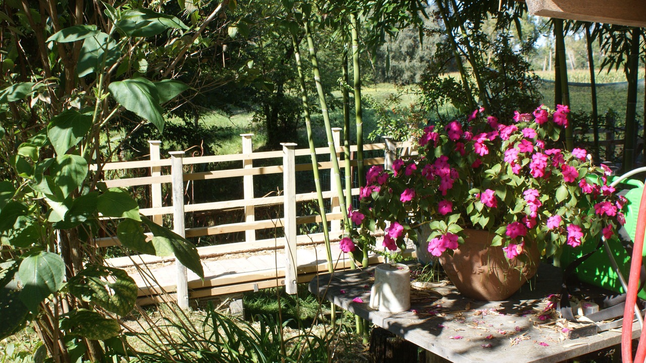 Photo of Outdoor in Villamiroglio