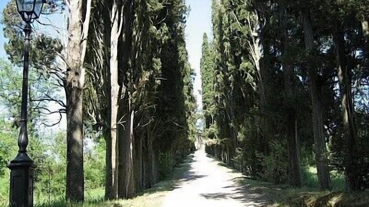 Photo of Outdoor in Ciggiano