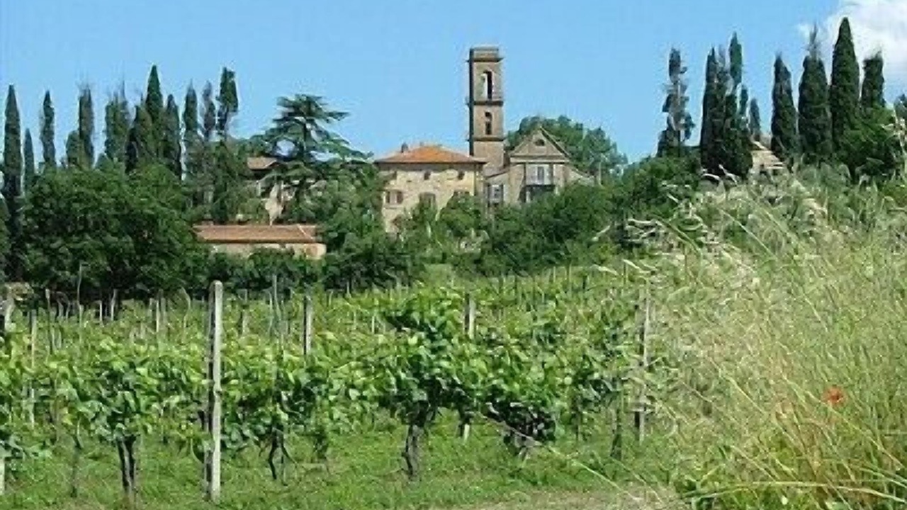 Photo of Outdoor in Ciggiano