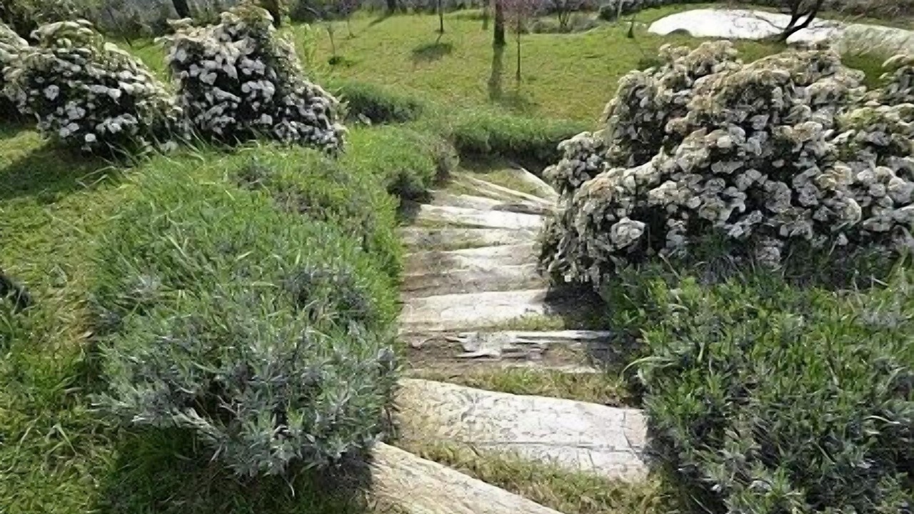 Photo of Outdoor in Pieve al Bagnoro