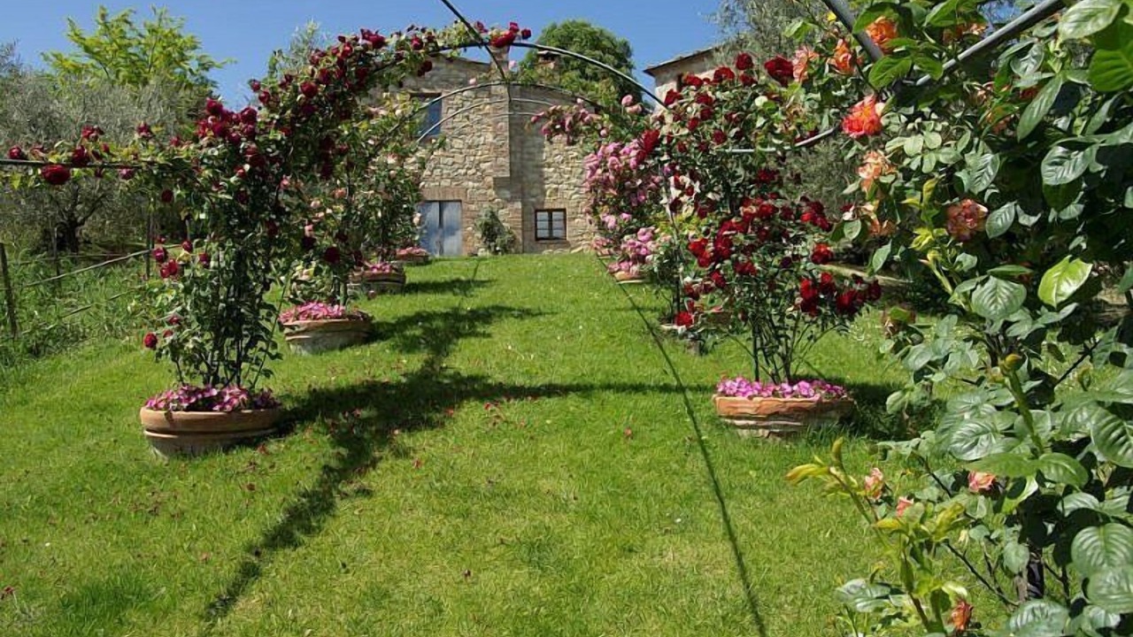 Photo of Outdoor in Montepulciano