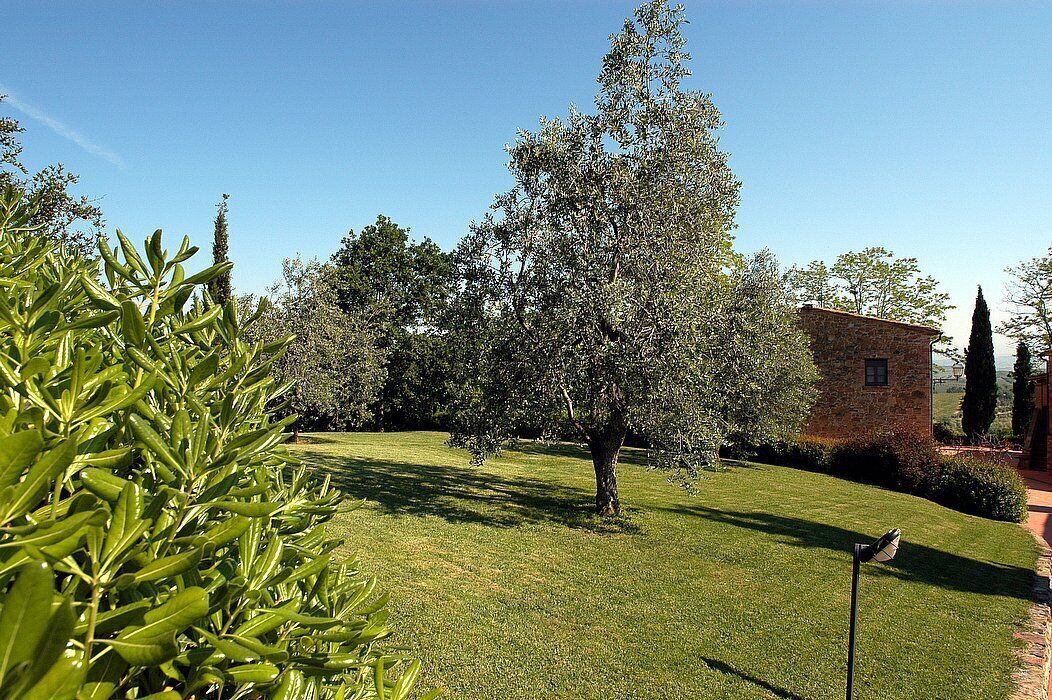 Photo of Outdoor in Montaione