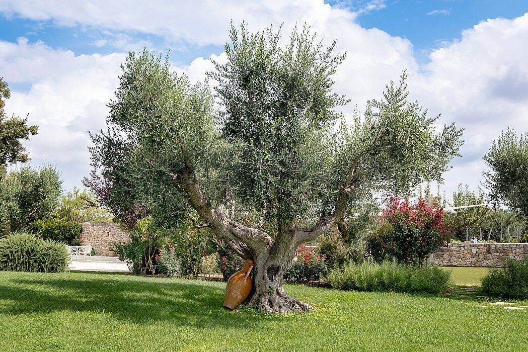 Photo of Outdoor in Martina Franca