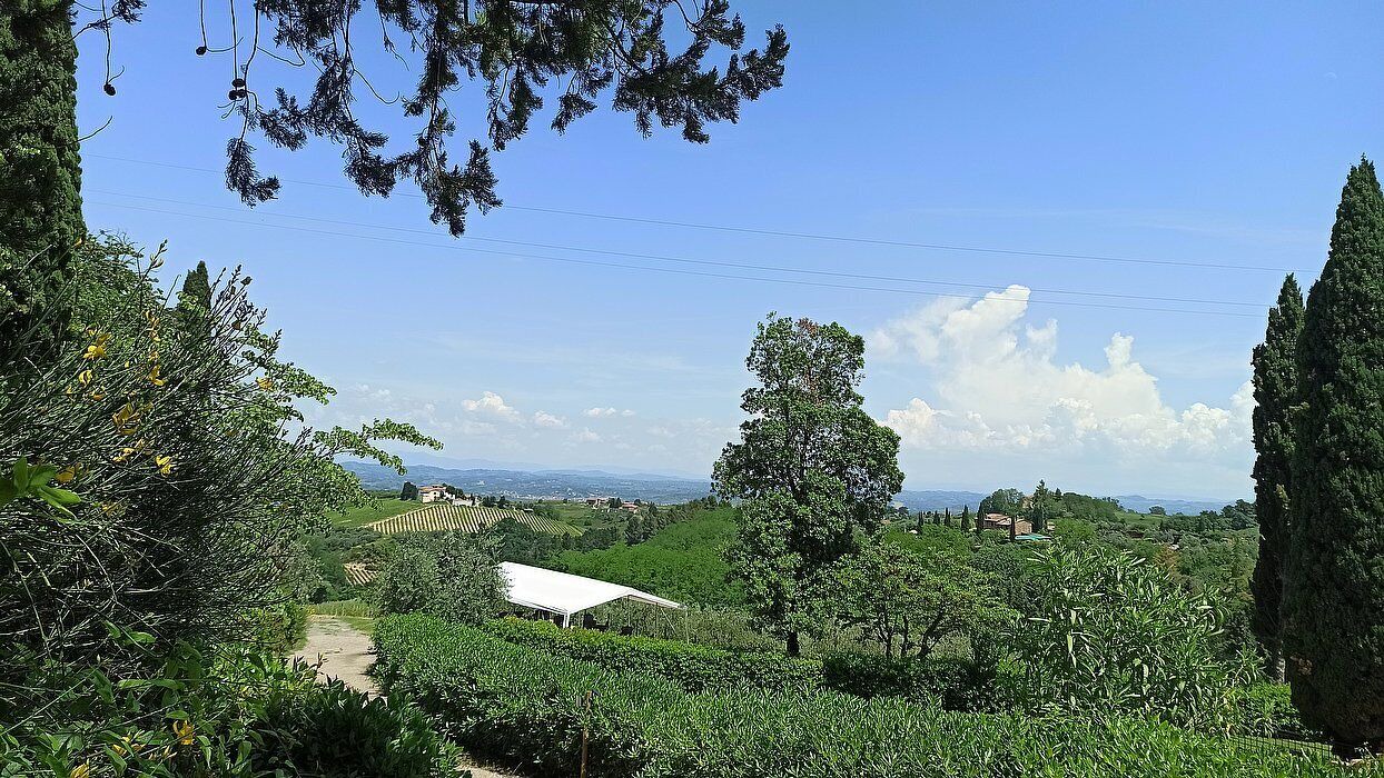 Photo of Outdoor in Montaione