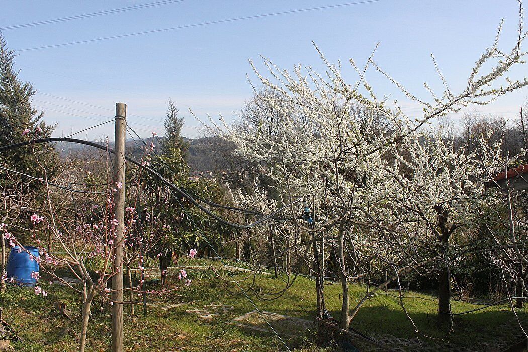Photo of Outdoor in Bobolino
