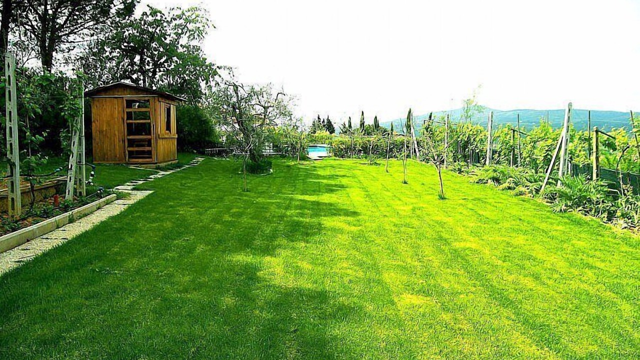 Photo of Outdoor in Bobolino