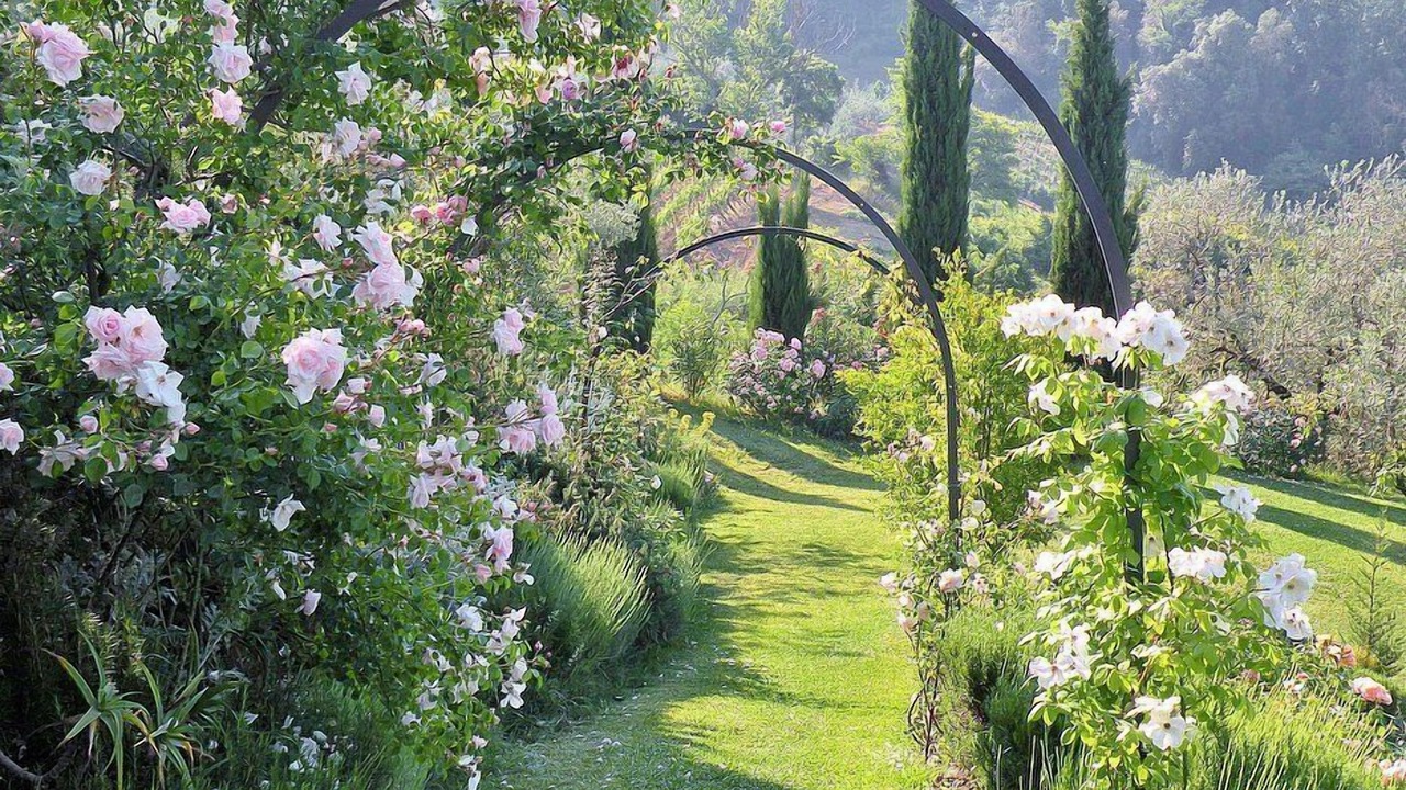 Photo of Outdoor in Certaldo