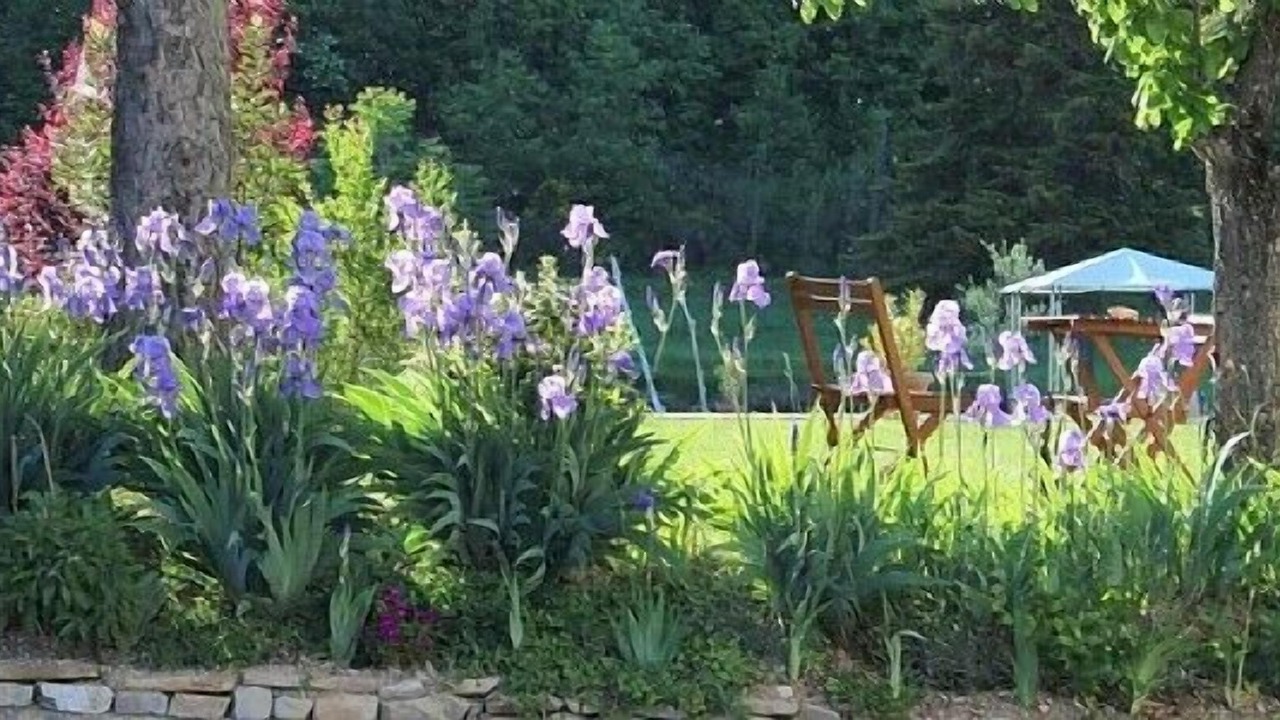 Photo of Outdoor in Montone