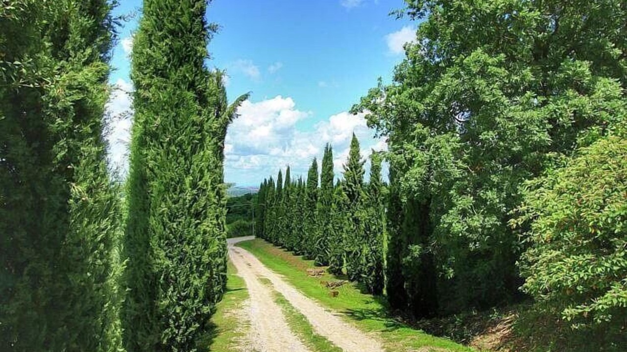 Photo of Outdoor in Castiglione d'Orcia