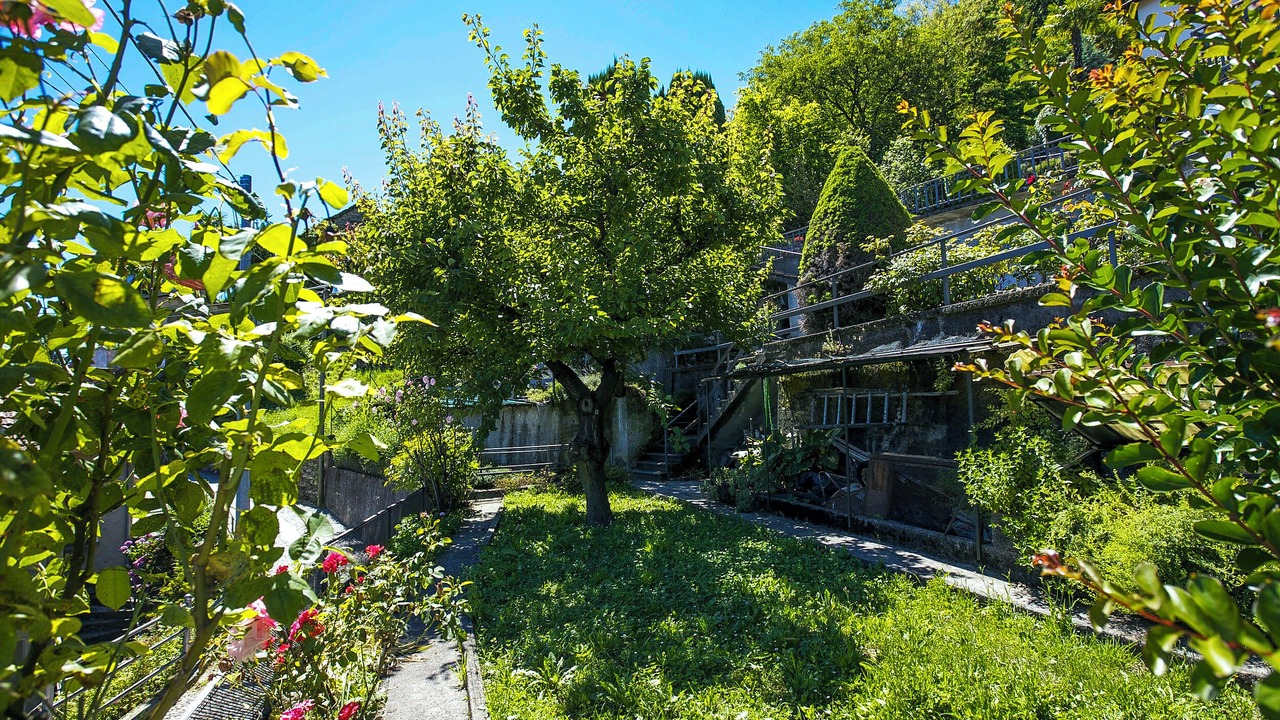 Photo of Outdoor in Barbe Superiore