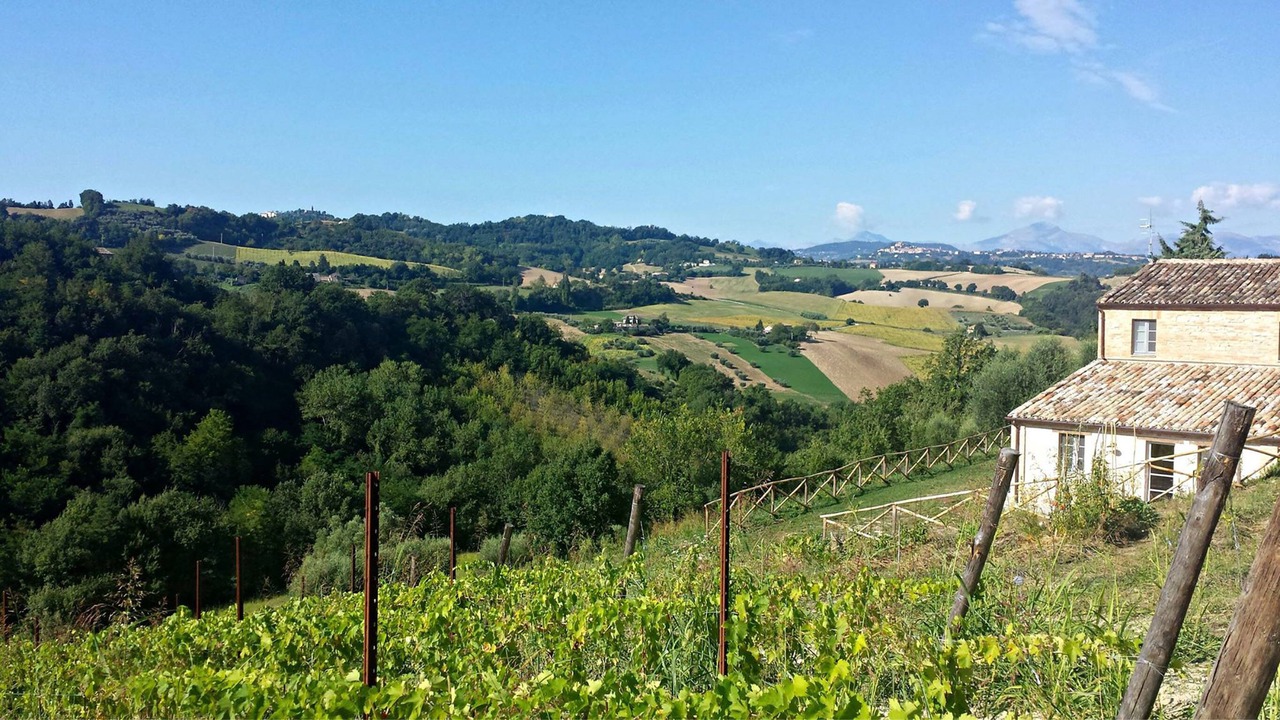 Photo of Outdoor in Monsampietro Morico