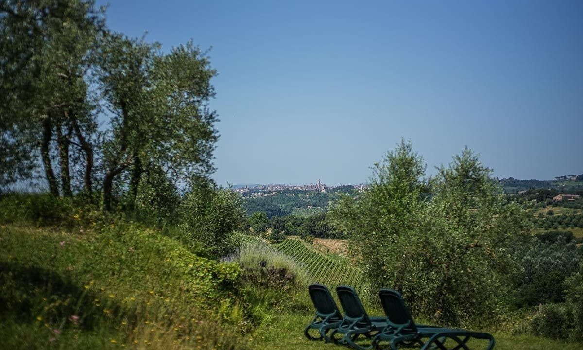 Photo of Outdoor in Ponte di Gabbiano