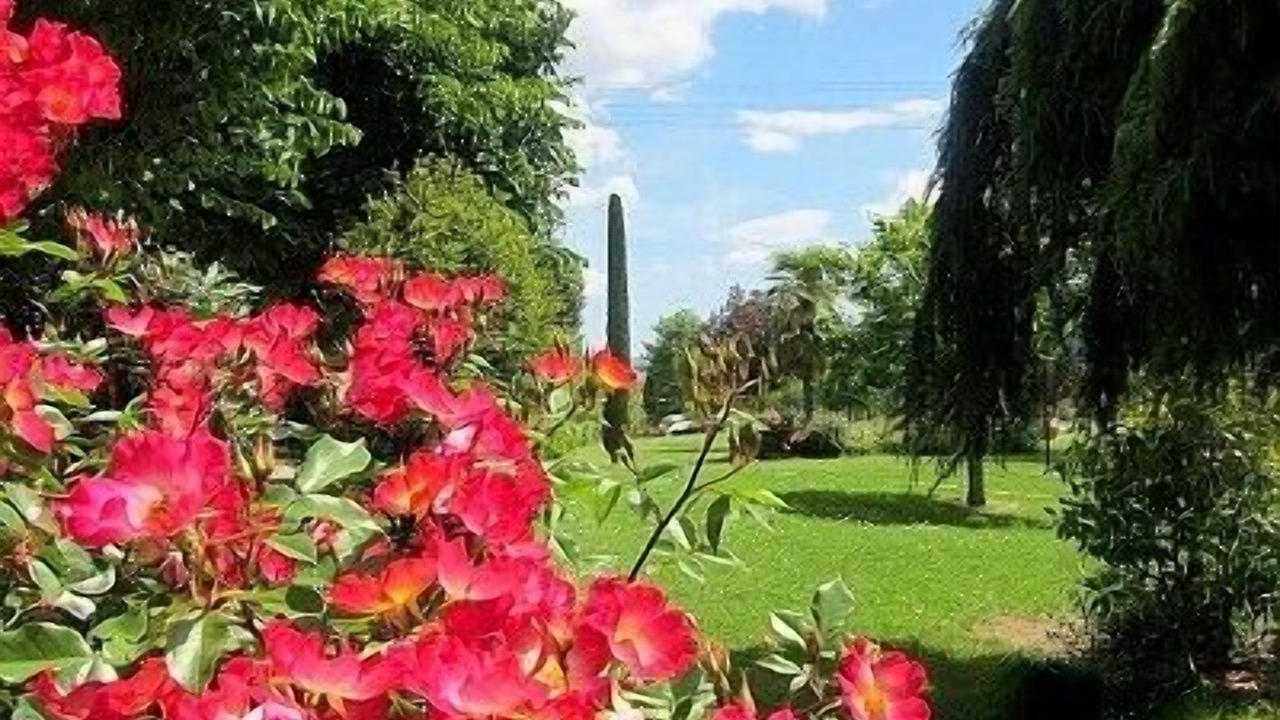 Photo of Outdoor in Castiglion Fiorentino