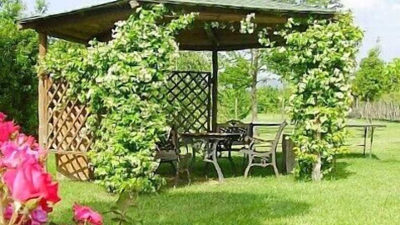 Photo of Outdoor in Castiglion Fiorentino